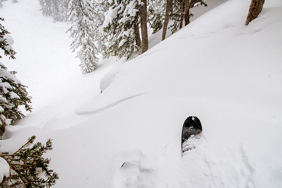 Brighton Powder 1-4-17-8108