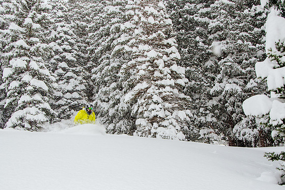 Big Pow Day Phil at Brighton-6334