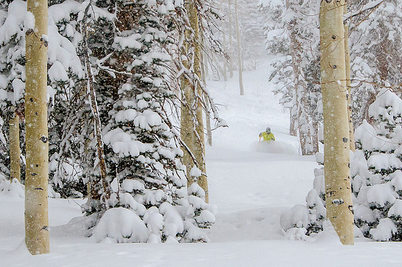 Big Pow Day Phil at Brighton-5956