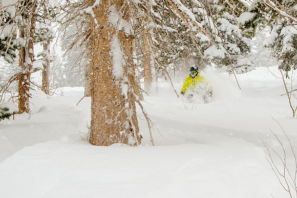 Big Pow Day Phil at Brighton-6119