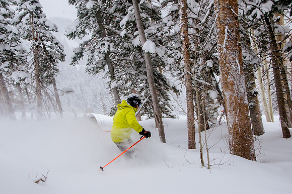 Big Pow Day Phil at Brighton-5871
