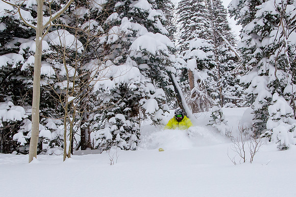 Big Pow Day Phil at Brighton-5886