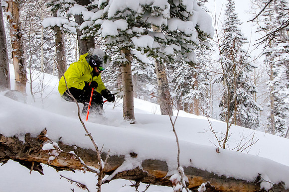 Big Pow Day Phil at Brighton-5861