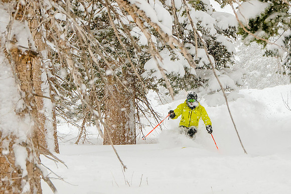 Big Pow Day Phil at Brighton-6113