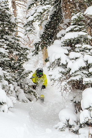 Big Pow Day Phil at Brighton-6079