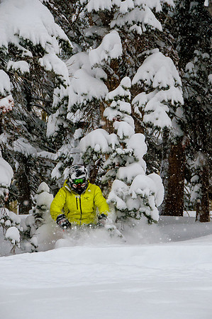Big Pow Day Phil at Brighton-6223