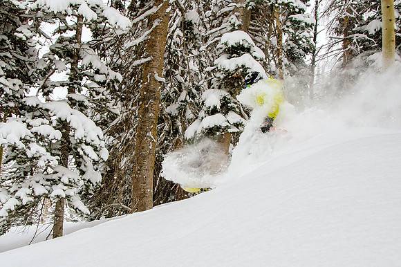 Big Pow Day Phil at Brighton-6394