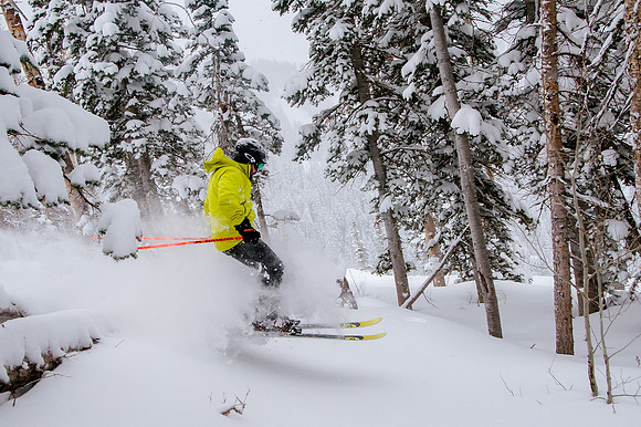 Big Pow Day Phil at Brighton-5868