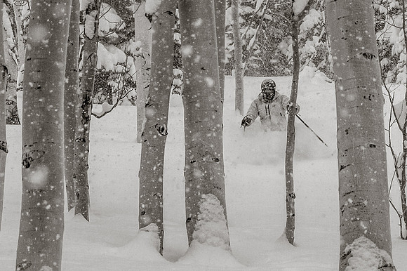 Big Pow Day Phil at Brighton-6018