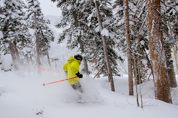 Big Pow Day Phil at Brighton-5870
