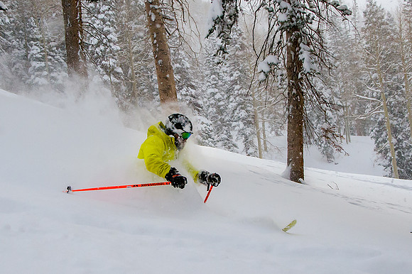 Big Pow Day Phil at Brighton-6209