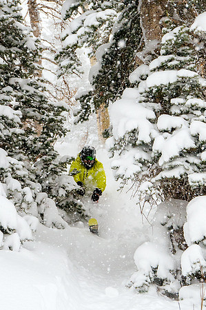 Big Pow Day Phil at Brighton-6080