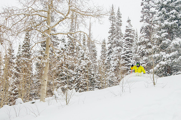 Big Pow Day Phil at Brighton-6447