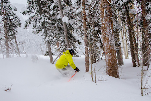 Big Pow Day Phil at Brighton-5872