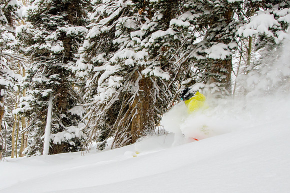 Big Pow Day Phil at Brighton-6402