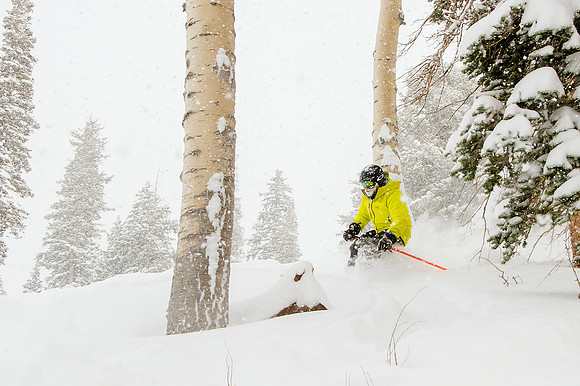 Big Pow Day Phil at Brighton-6128