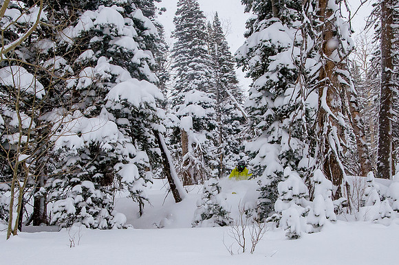 Big Pow Day Phil at Brighton-5878
