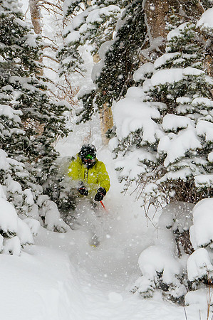 Big Pow Day Phil at Brighton-6081