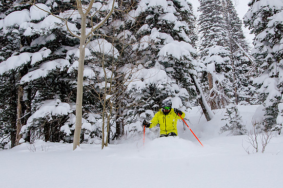 Big Pow Day Phil at Brighton-5893