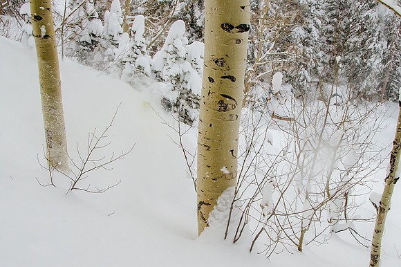 Big Pow Day Phil at Brighton-6072