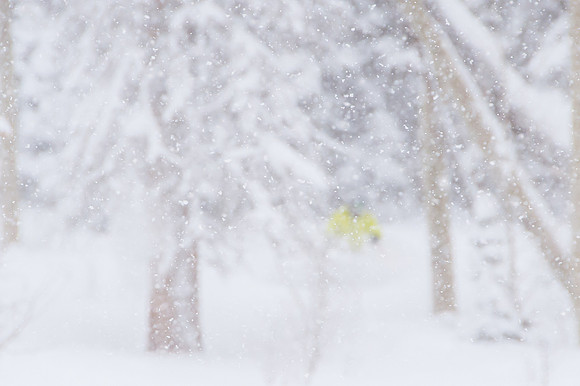 Big Pow Day Phil at Brighton-5915