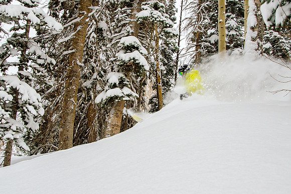 Big Pow Day Phil at Brighton-6392