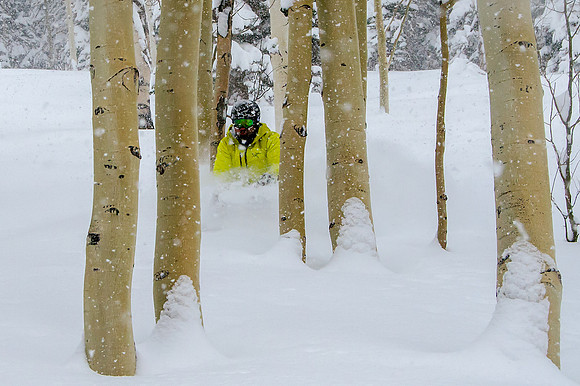 Big Pow Day Phil at Brighton-6025