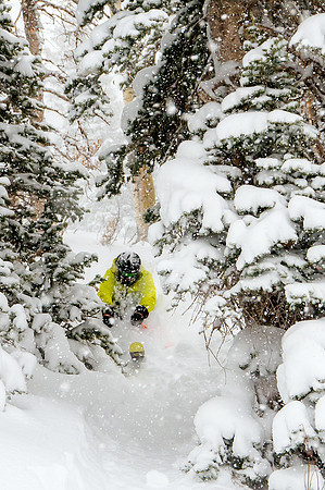 Big Pow Day Phil at Brighton-6078