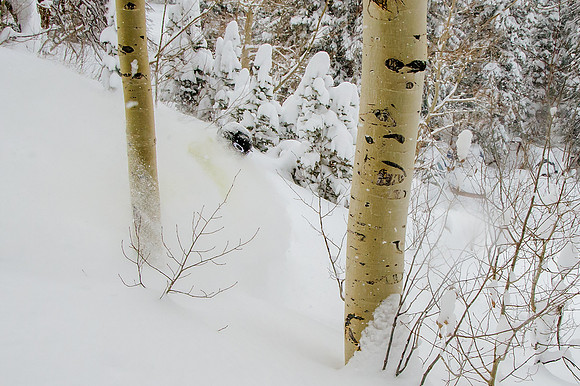 Big Pow Day Phil at Brighton-6071