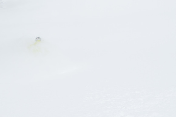 Big Pow Day Phil at Brighton-6305