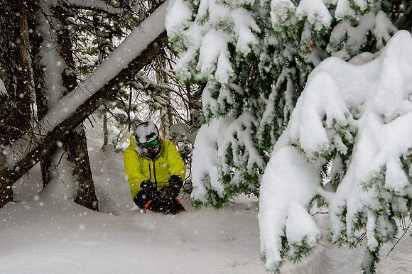 Big Pow Day Phil at Brighton-6311