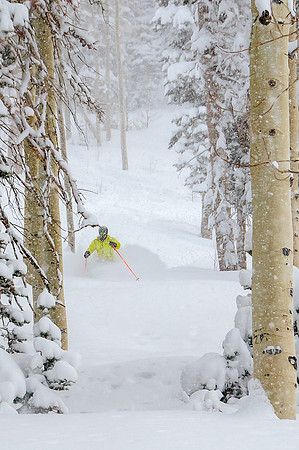 Big Pow Day Phil at Brighton-5960