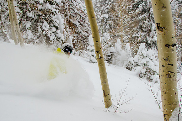 Big Pow Day Phil at Brighton-6068
