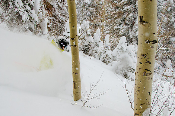 Big Pow Day Phil at Brighton-6069