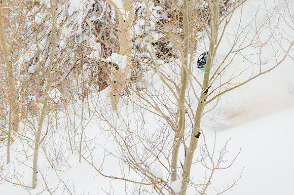 Big Pow Day Phil at Brighton-6478