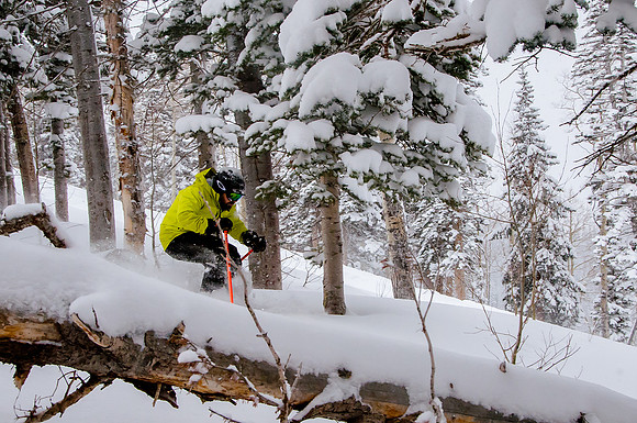 Big Pow Day Phil at Brighton-5860
