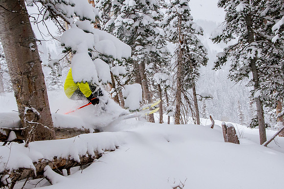 Big Pow Day Phil at Brighton-5864
