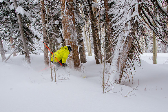 Big Pow Day Phil at Brighton-5876