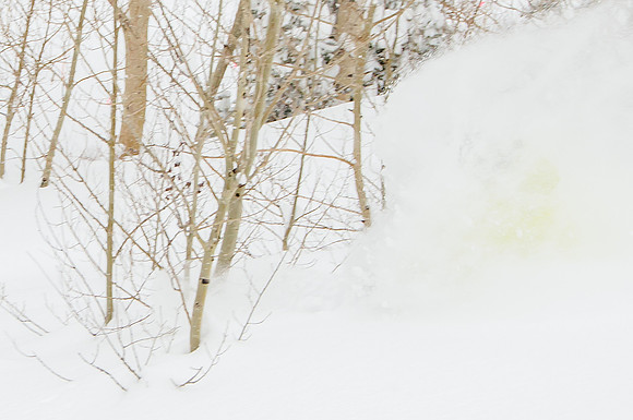Big Pow Day Phil at Brighton-6484