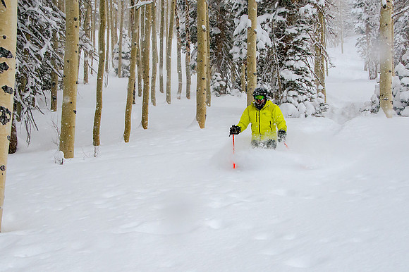 Big Pow Day Phil at Brighton-5991