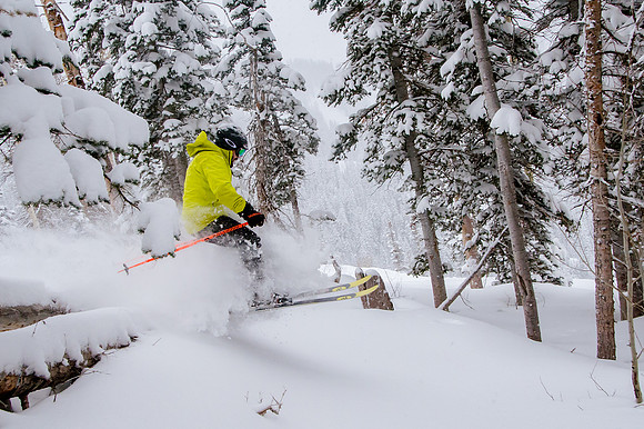Big Pow Day Phil at Brighton-5867
