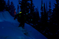 Night Trees-0996