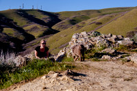 Chip at Ensign Peak-1749