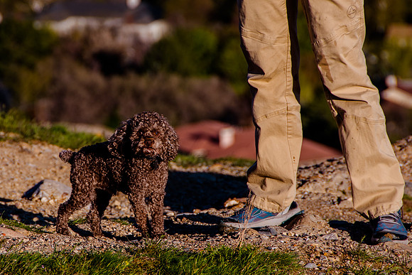 Chip at Ensign Peak-1824