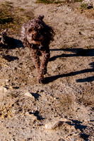 Chip at Ensign Peak