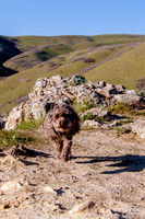Chip at Ensign Peak-1725