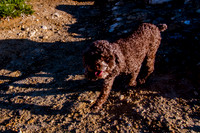 Chip at Ensign Peak-1780