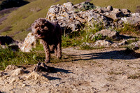 Chip at Ensign Peak-1743