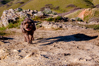 Chip at Ensign Peak-1764