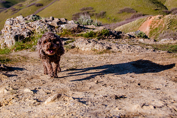 Chip at Ensign Peak-1764